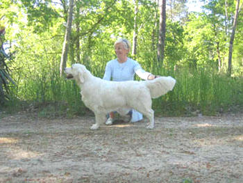 Violina Graziosa du Bois de la Rayere 2005