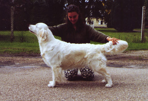 Odyssee du Bois de la Rayere 2000