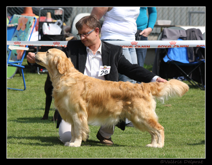 Furyo  Turnhout 2009 : BIS