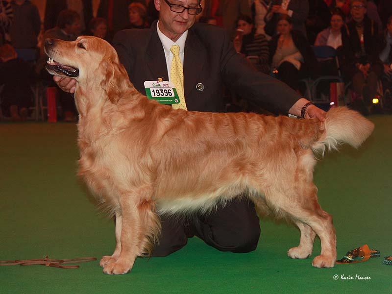 Furyo-4-ans-Crufts-2010-Res-CC-A.jpg