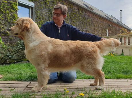 Obsession du Bois de la Rayre ( Madisson ) 21 Months