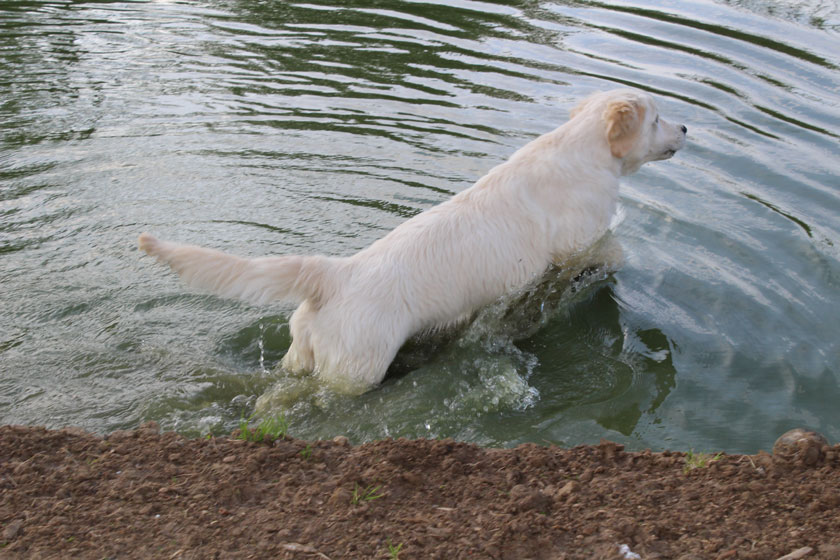 Reflet d'eau 