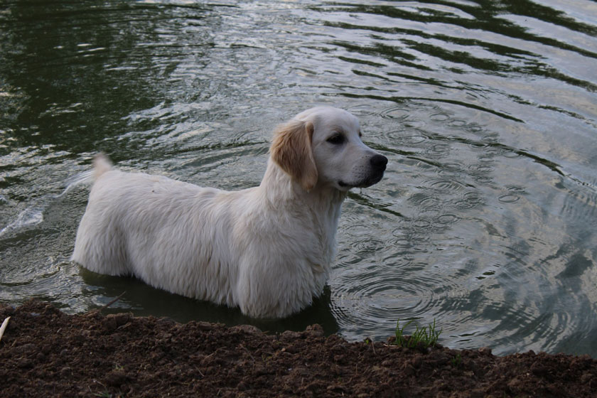 reflet d'eau 