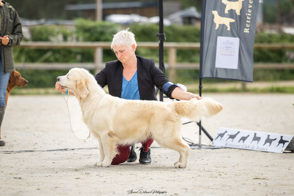 reflet d'eau du bois de la rayere