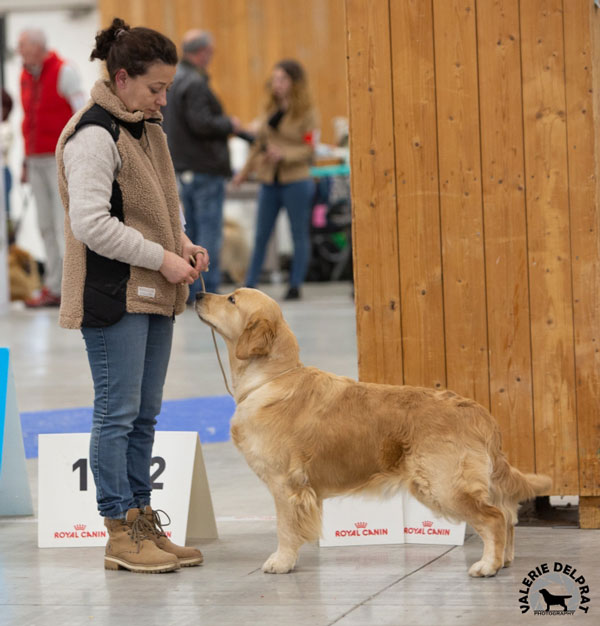 UN AIR DE SAMSARA DU BOIS DE LA RAYERE