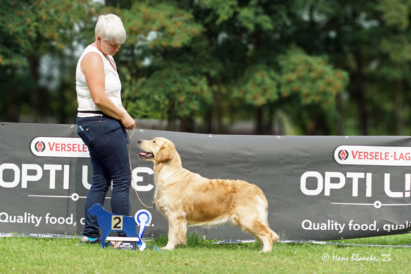 un air de samsara du bois de la rayere