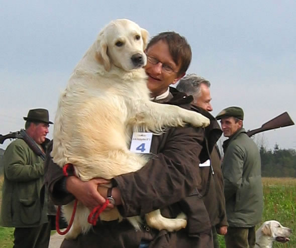 Tommy Girl du Bois de la Rayere in field trial